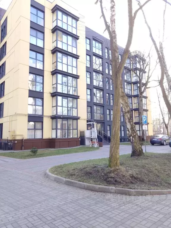 1-к кв. Калининградская область, Светлогорск пос. Отрадное, просп. ... - Фото 2