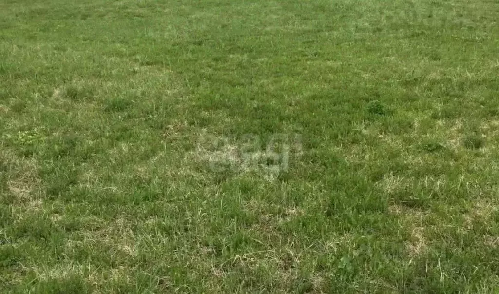 Участок в Тюменская область, Нижнетавдинский муниципальный округ, ... - Фото 2