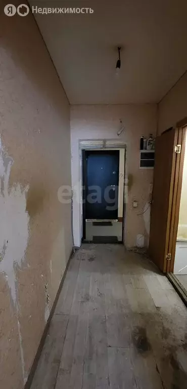 Квартира-студия: село Новая Усмань, Раздольная улица, 1 (26.4 м) - Фото 2