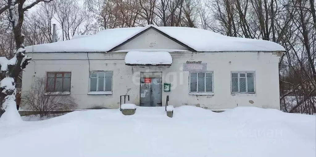 Офис в Владимирская область, Муром д. Прудищи, ул. Заречная, 6А (160 ... - Фото 1