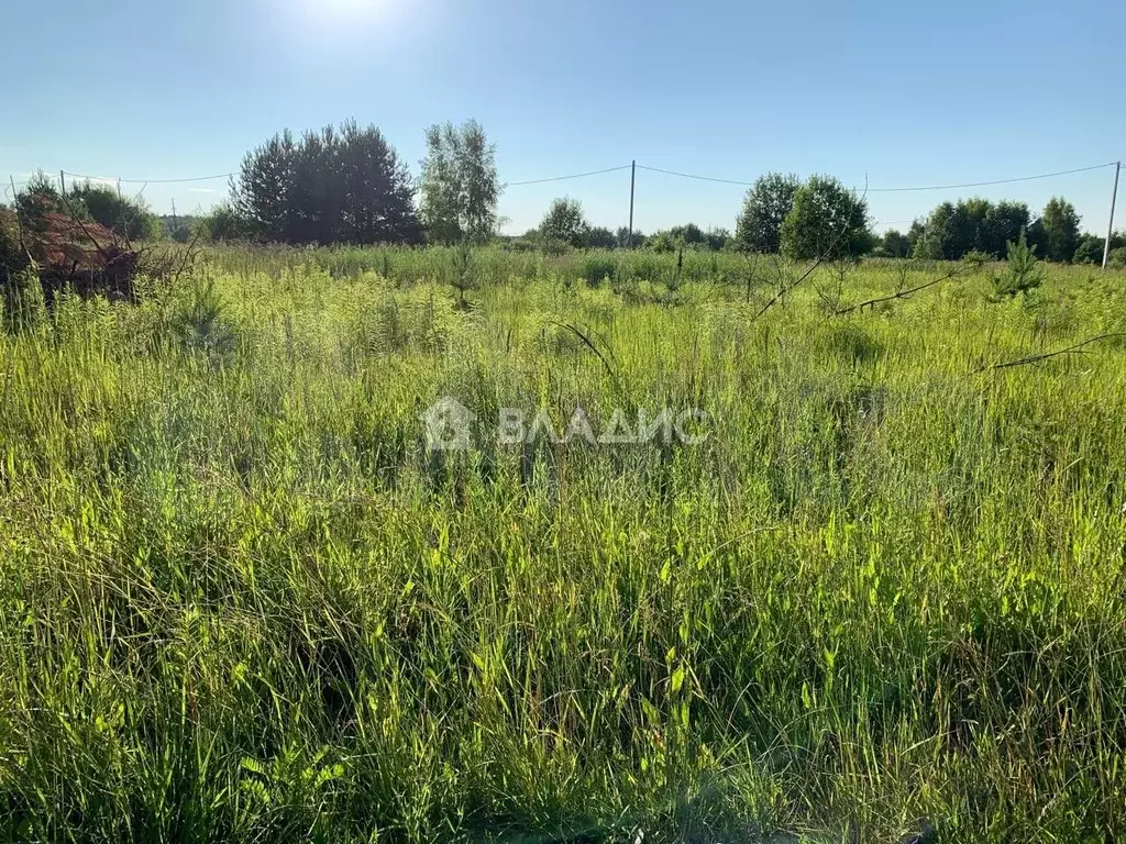 Участок 10 сот. (ИЖС) - Фото 1