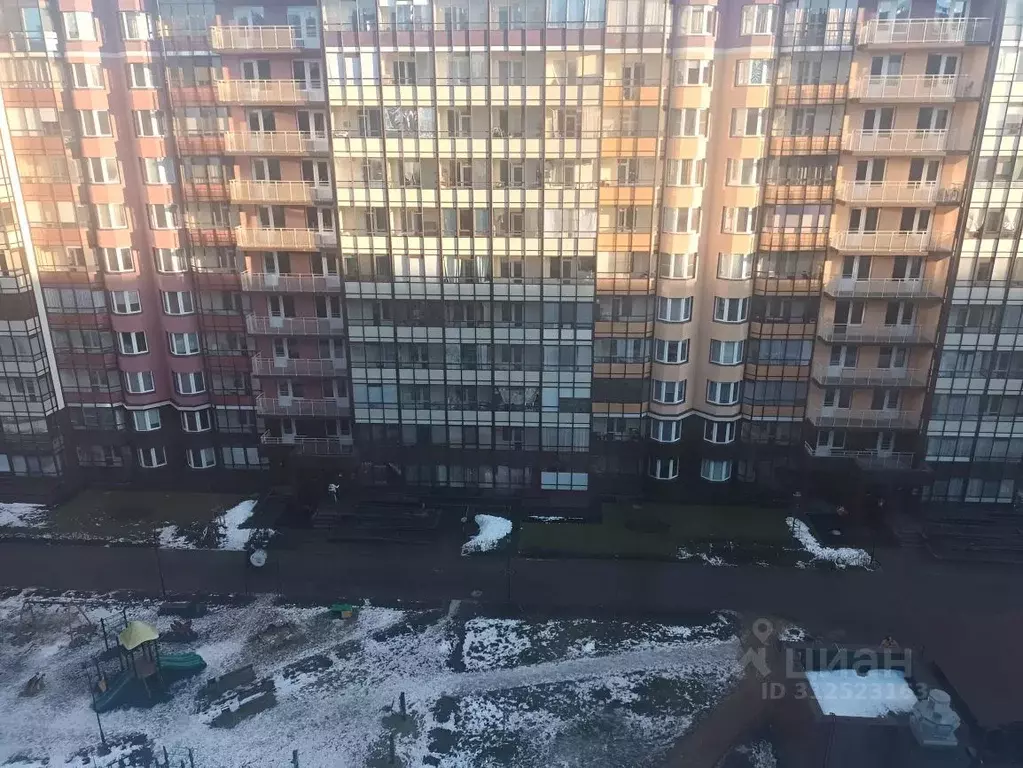 Студия Санкт-Петербург ул. Летчика Лихолетова, 14к2 (24.6 м) - Фото 2