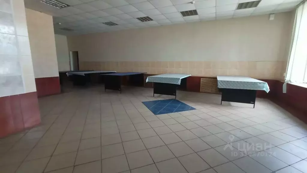Помещение свободного назначения в Курская область, Курск Народная ул., ... - Фото 1