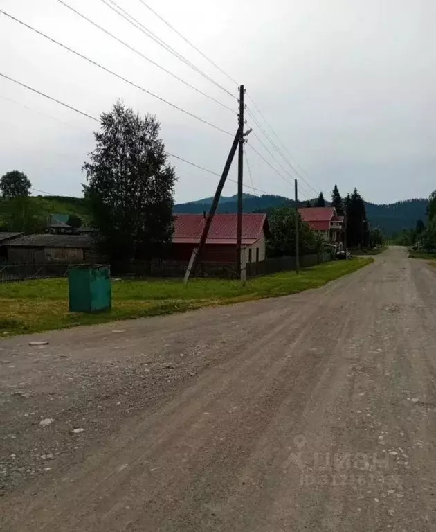 Участок в Алтайский край, Алтайский район, с. Нижнекаянча ул. ... - Фото 2