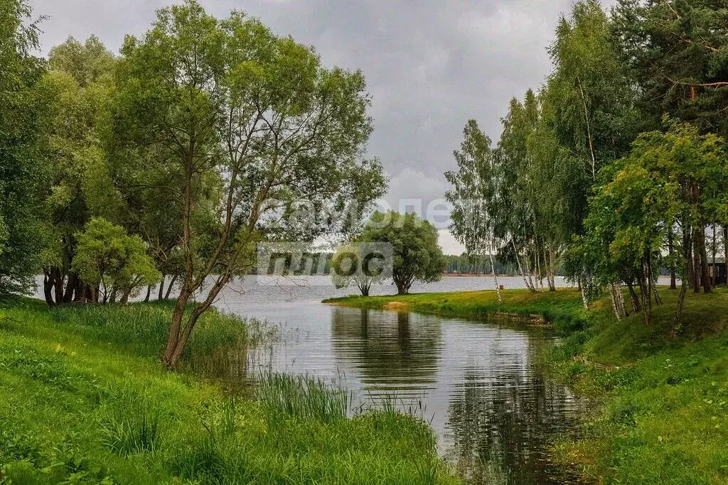 Участок в Московская область, Можайский муниципальный округ, Антоново ... - Фото 1