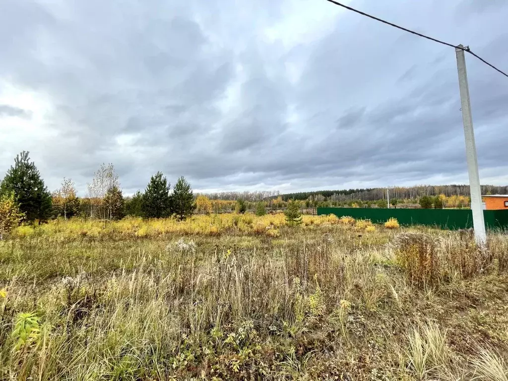 Участок в Нижегородская область, Богородский муниципальный округ, д. ... - Фото 2
