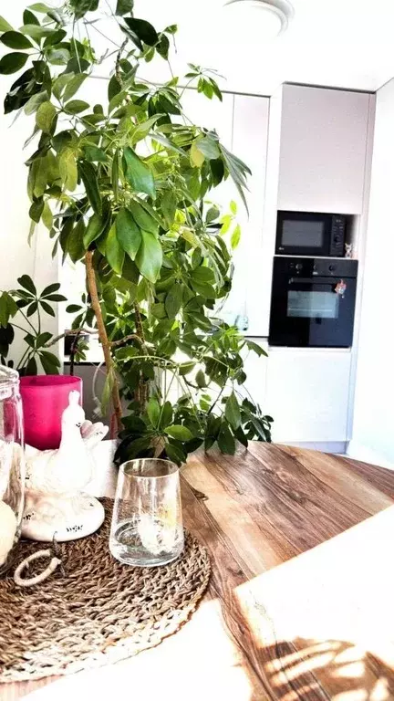 2-к кв. Краснодарский край, Сочи Центральный мкр, ул. Воровского, 20 ... - Фото 1