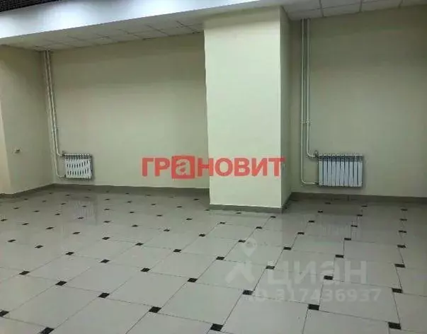 Торговая площадь в Новосибирская область, Новосибирск Красный просп., ... - Фото 0