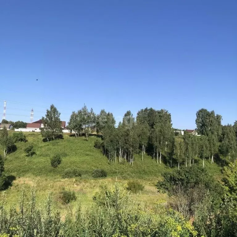 Участок в Брянская область, Брянский район, Глинищевское с/пос, с. ... - Фото 1