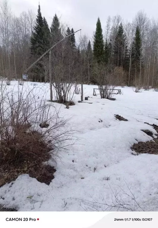 Участок в Кировская область, Юрьянский район, Загарское с/пос, ... - Фото 1