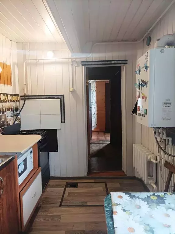Дом в Алтайский край, Барнаул городской округ, пос. Черницк ул. ... - Фото 2