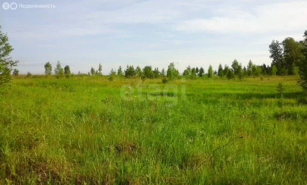 Участок в Тульская область, городской округ Тула, село Частое, Ясная ... - Фото 2