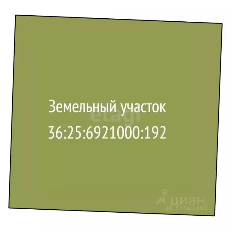 Участок в Воронежская область, Лискинский район, Петропавловское ... - Фото 2