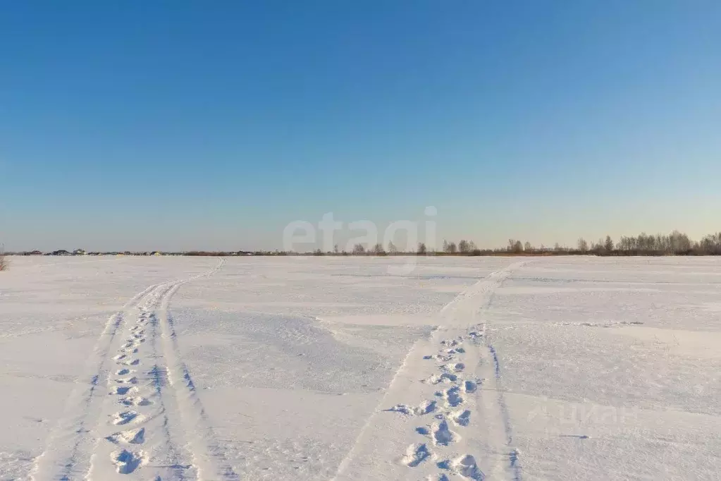 Участок в Тюменская область, Тюмень  (6.76 сот.) - Фото 0