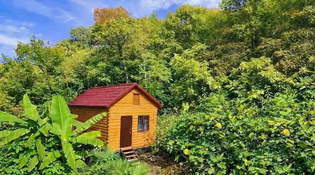 Дом в Краснодарский край, Сочи Сочинское ш., 8/7Б (22 м) - Фото 1