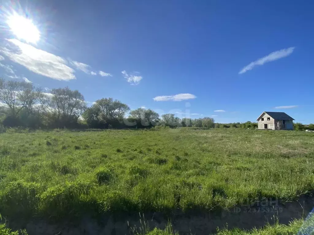Участок в Калининградская область, Гурьевский муниципальный округ, ... - Фото 2
