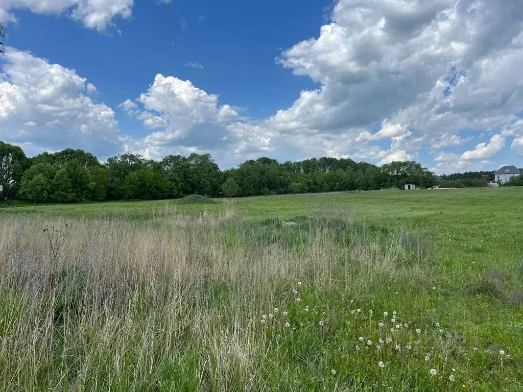 Участок в Московская область, Озеры Коломна городской округ,  (9.98 ... - Фото 1