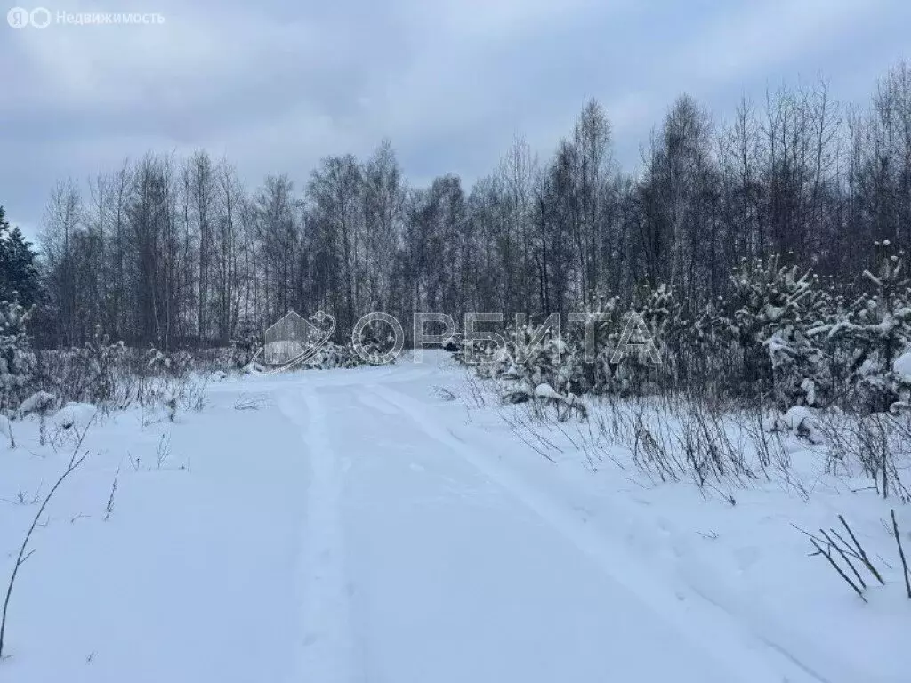 Участок в Тюменская область, Нижнетавдинский муниципальный округ, СНТ ... - Фото 1