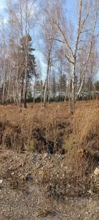 Участок в Иркутская область, Иркутский муниципальный округ, Маркова рп ... - Фото 1