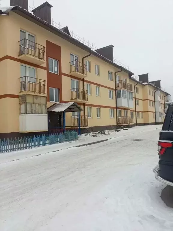 1-к кв. Нижегородская область, Володарский муниципальный округ, ... - Фото 1
