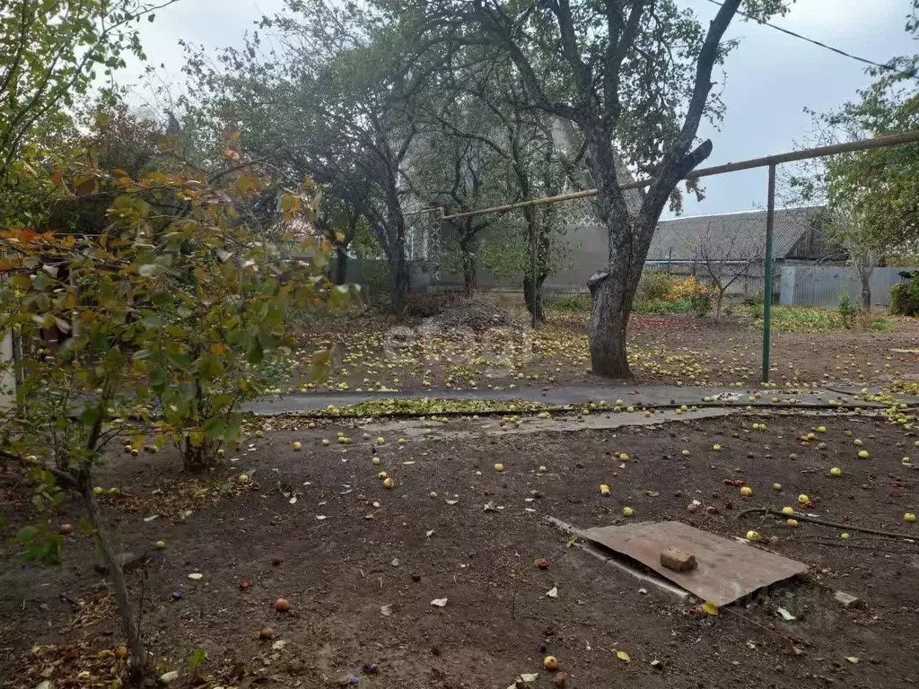 Дом в Белгородская область, Губкинский городской округ, с. Сапрыкино ... - Фото 1