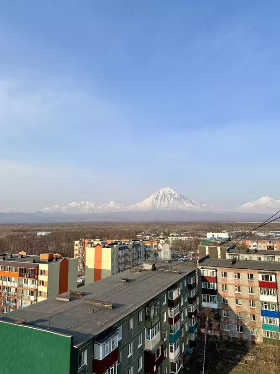 1-к кв. Камчатский край, Елизово ул. Гришечко, 13 (37.0 м) - Фото 2