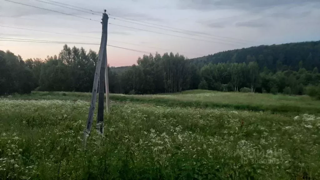 Участок в Костромская область, Красносельский район, Боровиковское ... - Фото 0