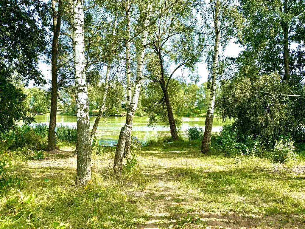 Участок в Московская область, Домодедово Белые Столбы мкр, ул. Ленина, ... - Фото 1