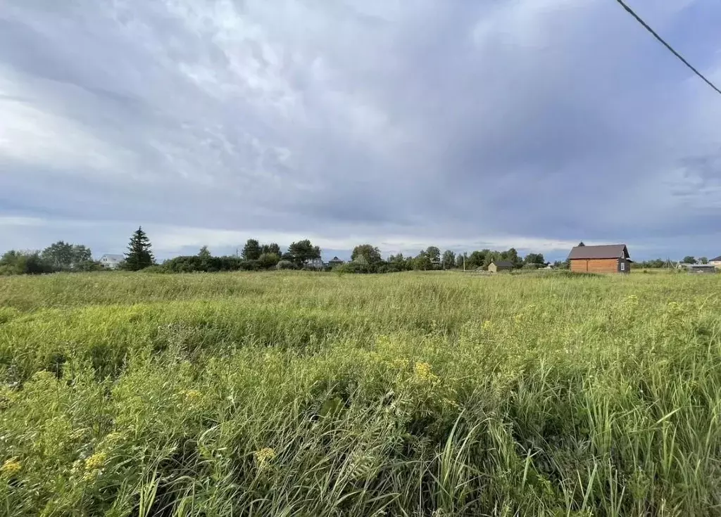 Участок в Ярославская область, Некрасовский муниципальный округ, ... - Фото 2