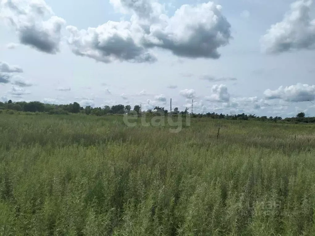 Участок в Амурская область, Тамбовский муниципальный округ, с. ... - Фото 2