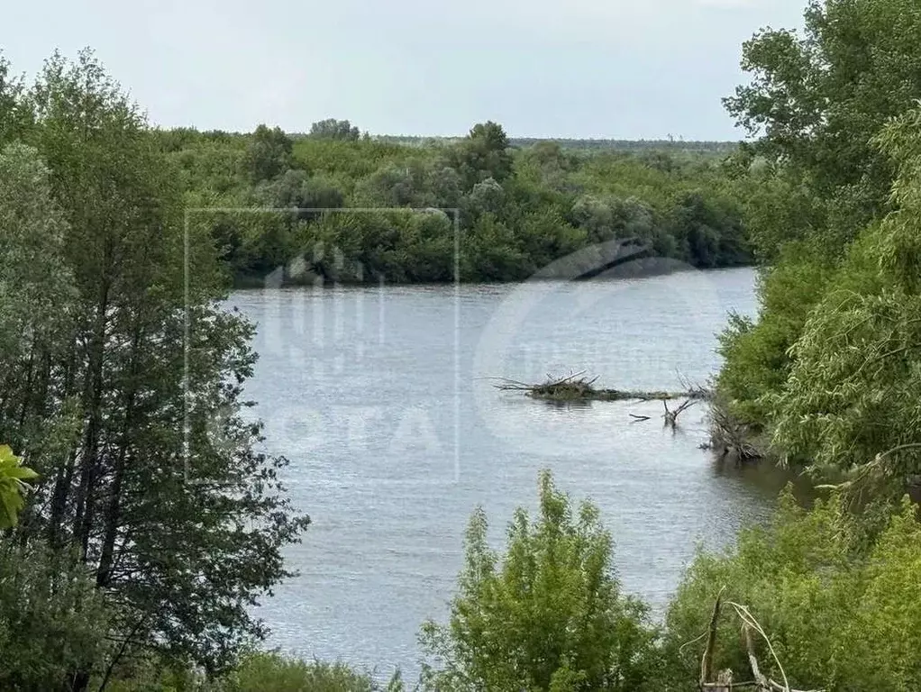 Участок в Воронежская область, Хохольский район, с. Борщево ул. 8 ... - Фото 1