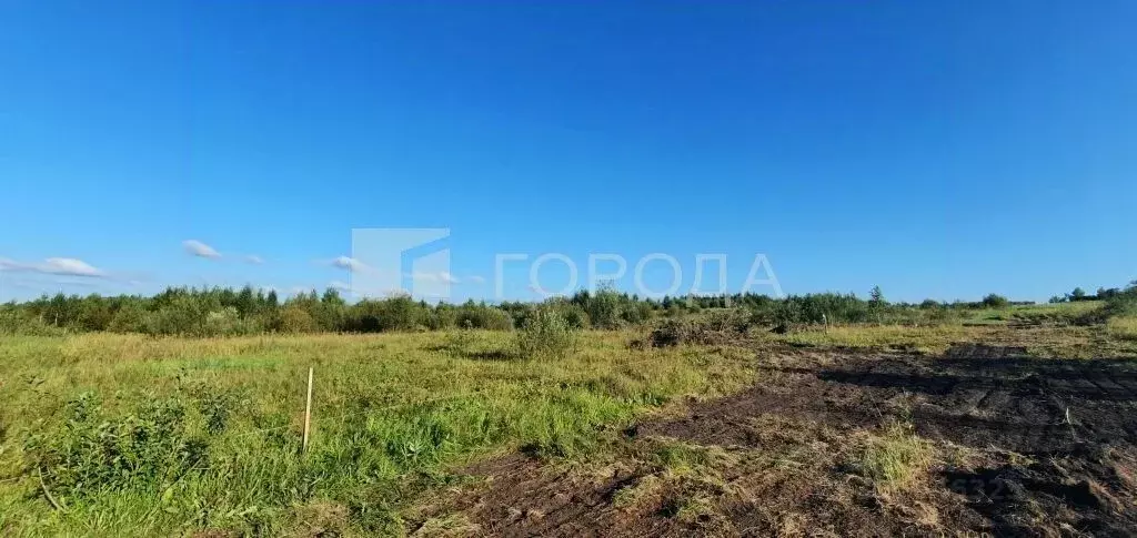 Участок в Томская область, Томский район, с. Корнилово ул. Жирова, 103 ... - Фото 1