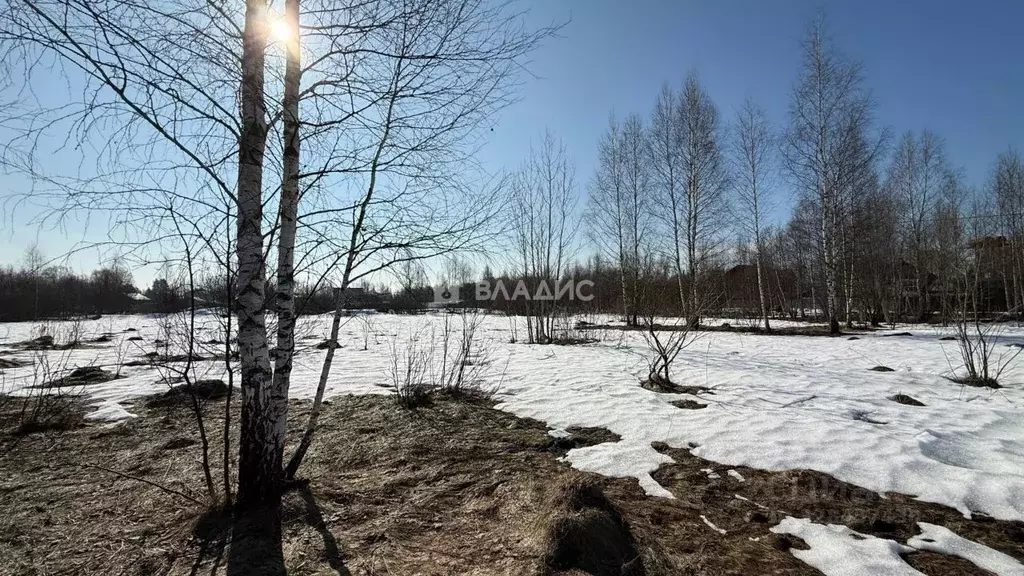 Участок в Московская область, Электросталь городской округ, д. Есино  ... - Фото 1
