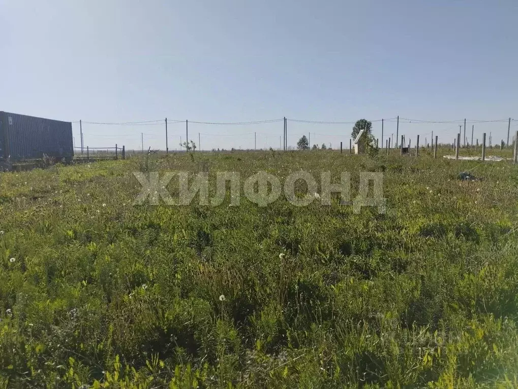 Участок в Новосибирская область, Колывань городское поселение, Дачная ... - Фото 1