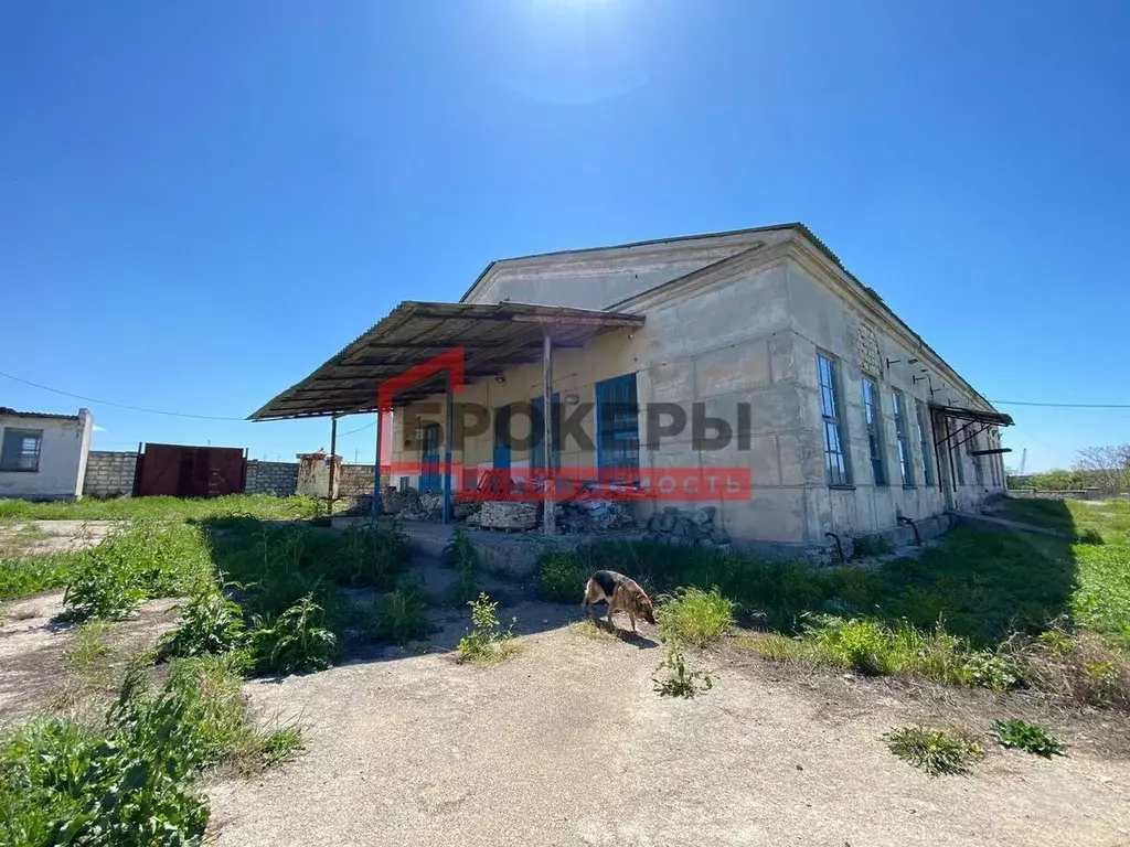 Помещение свободного назначения в Севастополь ул. Братская, 3 (680 м) - Фото 1