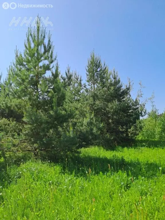 Участок в Шумилово, коттеджный посёлок Сан Сити (21 м) - Фото 1