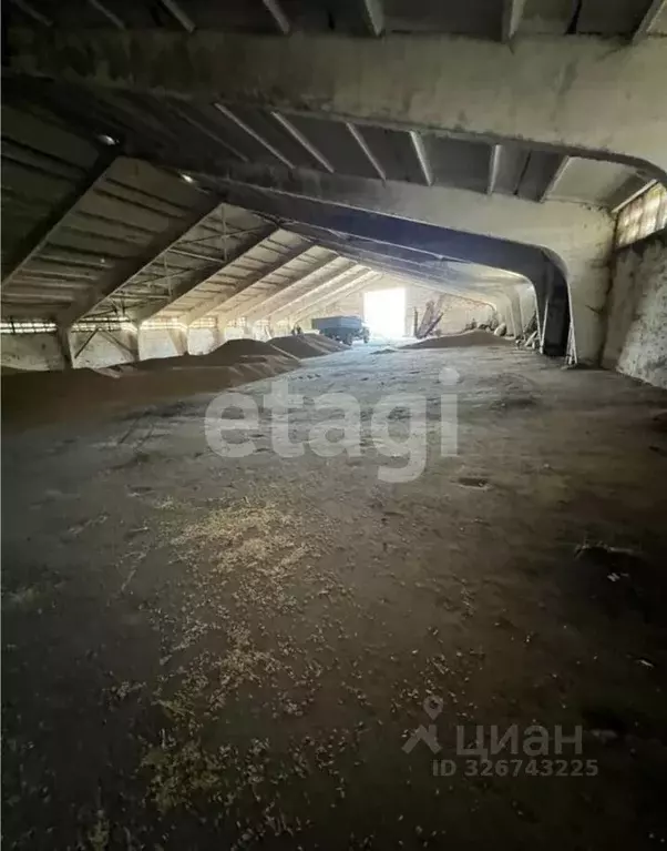 Склад в Тульская область, Алексин городской округ, д. Борисово  (1786 ... - Фото 1