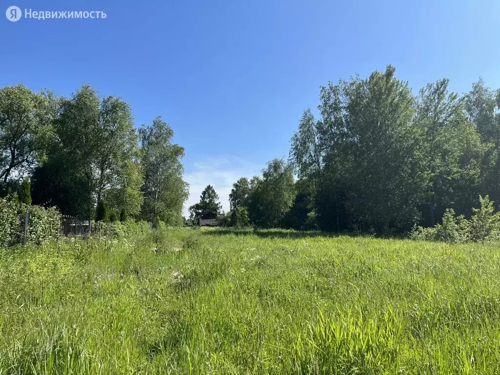 Купить Дачу В Раменском Районе Донино