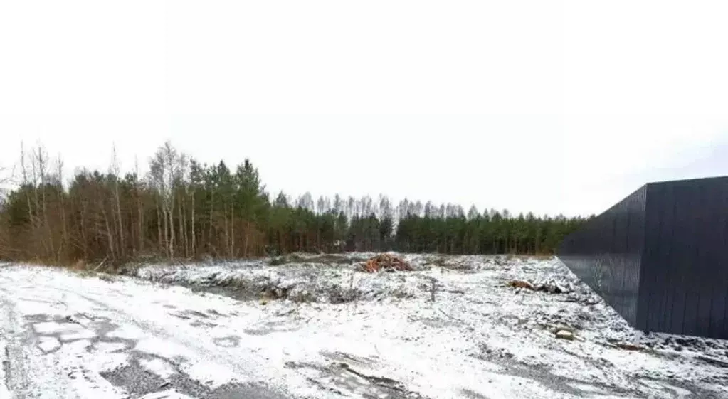 Участок в Ленинградская область, Ломоносовский район, Ропшинское ... - Фото 2