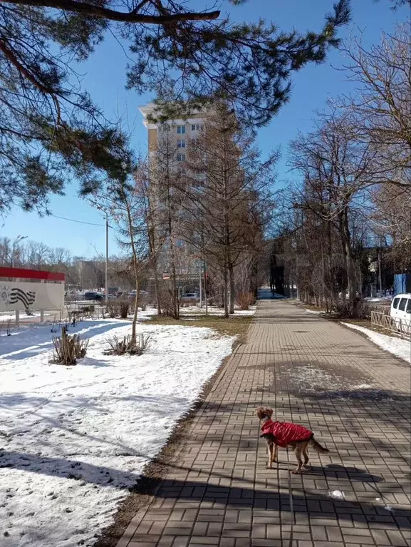 1-к. квартира, 32,3 м, 1/1 эт. - Фото 0