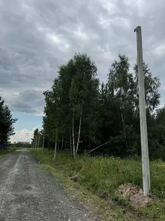 Участок в Московская область, Раменское Дергаево-3 кп,  (6.0 сот.) - Фото 0