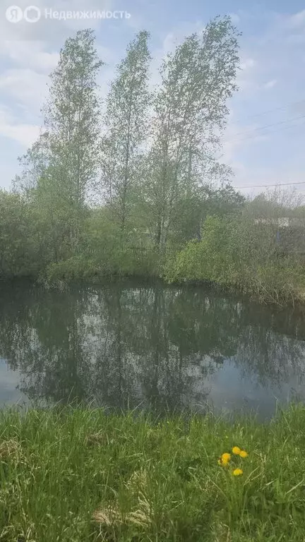 Дом в Новгородский муниципальный район, Ермолинское сельское ... - Фото 2