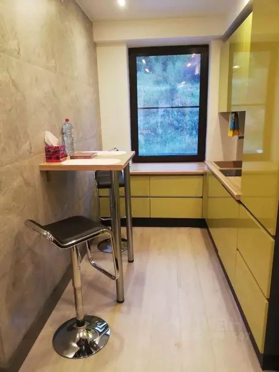 1-к кв. Иркутская область, Иркутский муниципальный округ, Листвянка рп ... - Фото 2