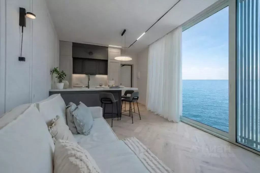 2-к кв. Краснодарский край, Сочи ул. Черноморская, 13Г (29.0 м) - Фото 1