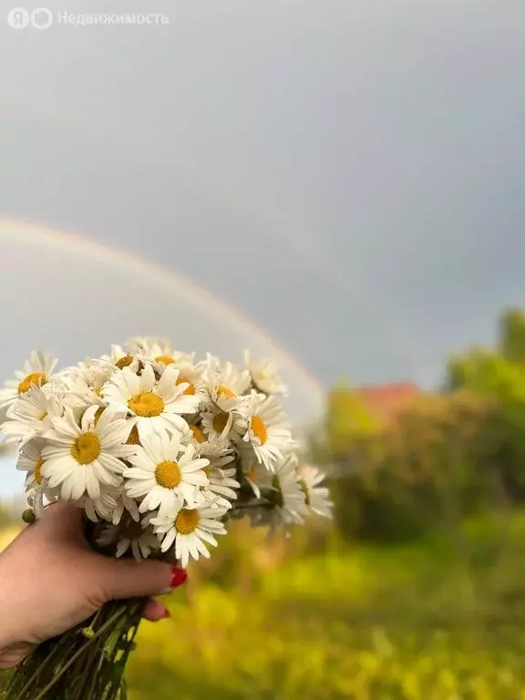 Участок в Пермский край, Добрянский муниципальный округ, СНТ Ветеран-2 ... - Фото 1