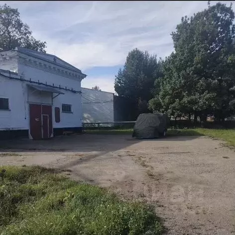 Помещение свободного назначения в Московская область, Домодедово ... - Фото 1