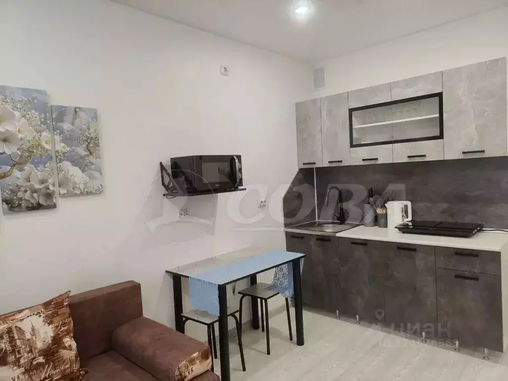 Студия Тюменская область, Тюмень ул. Новоселов, 103к1 (25.0 м) - Фото 1