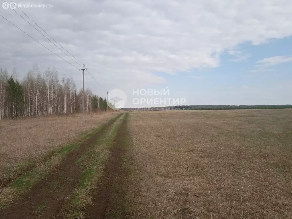 Участок в Каслинский район, Григорьевское сельское поселение, село ... - Фото 0