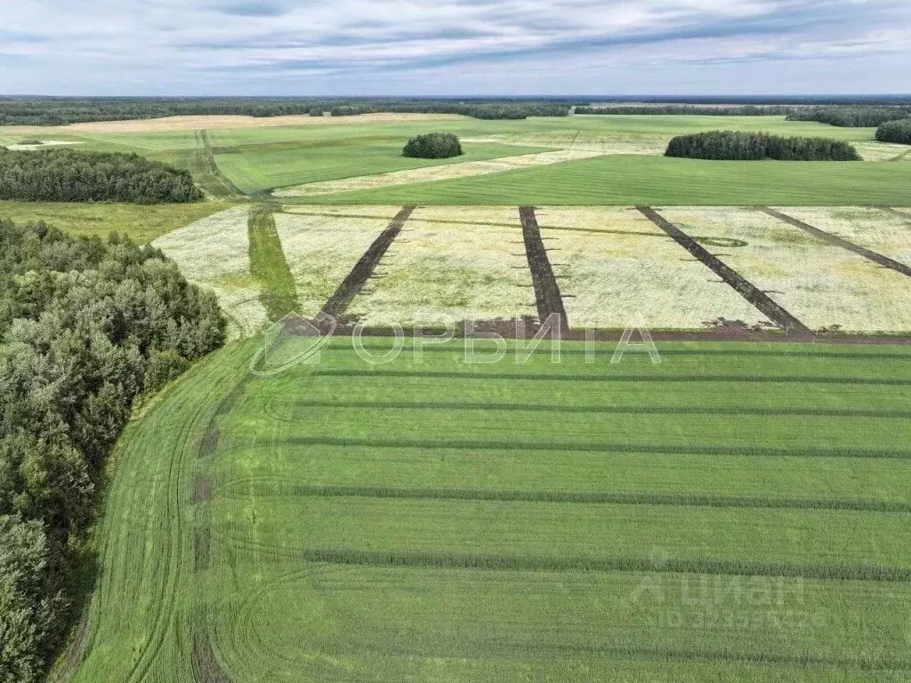 Участок в Тюменская область, Тюменский муниципальный округ, с. ... - Фото 1