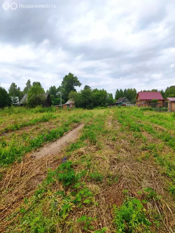Участок в Нижегородская область, Городецкий муниципальный округ, ... - Фото 1